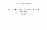 REPORTE MUSEO DE GEOLOGÍA UNAM