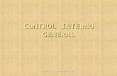 1.1.15 Control Interno General