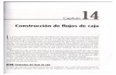 Sapag_Capitulo_Construccion_de_Flujos_de_Caja (2).pdf