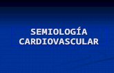 Semio Cardiovascular 2012q
