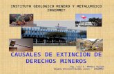 Causales de Extinción de Conseciones Mineras.ppt