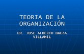 Teoria Organización