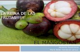 El Mangostán..Expo Ejemplo (Dado Por El Dr Sammy)