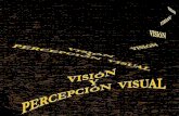 Percepcion Visual Teoria