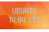 Manual Ubuntu Server