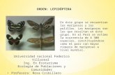 Orden Lepidóptera