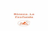 Minera La Profunda.docx