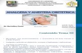 Anestesia Tema 30