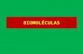 BIOMOLECULAS 20212