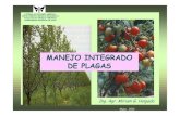 Manejo Integrado (Agroecología) Holgado 13 06