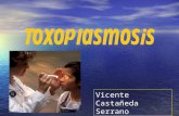 2 Toxoplasmosis  (Final)