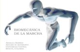 BiomecanicaDe La Marcha