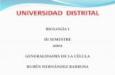 Presentación Generalidades de Las Células, Organelos.