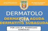 Dermatitis Aguda & Subaguda PowerPoint