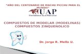 SEMANA 4- COMPUESTOS DE MODELAR Y ZINQUENOLICO (2).pptx