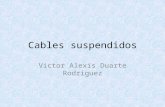 Ecuaciones Diferenciales de orden superior : Cables Suspendidos
