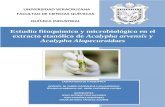 Estudio fitoquimico y microbiológico en el extracto etanólico de Acalypha arvensis y Acalypha Alopecuroidaes