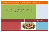 Monografia de La Delincuencia en El Peru