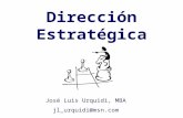 Direccion Estrategica JLUC