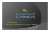 Viii. Elementos de Paleobotánica