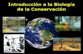 1.Historía y Conceptos en Conservación