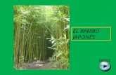 El Bambú Japones