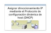Clase DHCP