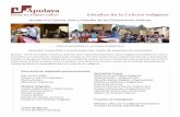 Apulaya Andean Culture Studies