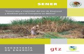 SENER BID GTZ Biocombustibles en Mexico Resumen Ejecutivo