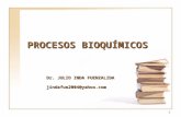 Clases 1 Proceso s