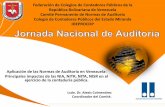 Aplicacion de Las Normas de Auditoria en Venezuela (2)