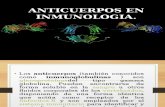 Anticuerpos en Inmunologia