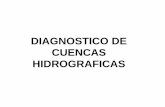 DIAGNOSTICO DE MICROCUENCAS.pdf