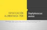 Intoxicación Alimentaria Por Estafilococo Aureus