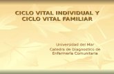 Ciclo Vital Individual y Ciclo Vital Familiar