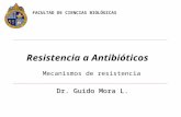 Resistencia a los antibioticos