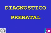 Diagnostico Prenatal .