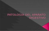 Patología Del Aparato Digestivo Parte