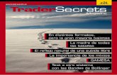 Trader Secrets 26 p