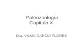Capitulo 10 Paleotologia Animal Invertebrados Gasteropodos Pelecipodos