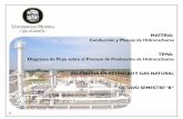 Proceso de producción de hidrocarburos