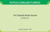 AULA 01 - LEGISLACAO E POLITICA FLORESTAL.pdf