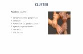 cluster 13.04.15