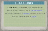 GLUCOLISIS espoch