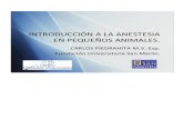 anestesia en pequeos animales