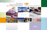 Catalogo Ciclos Formativos 2015 - Editex