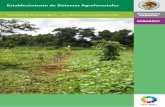 Manual Sistemas Agroforestales