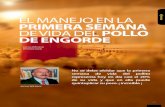 WEB Manejo Arranque Valls