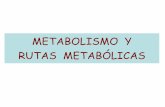 Clase 04 BQca 2012 QyF - Metabolismo 1 (Visión General).pdf