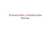 Prevencion y Proteccion Social